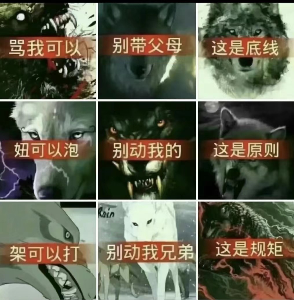 这就是狼性吗 ​​​