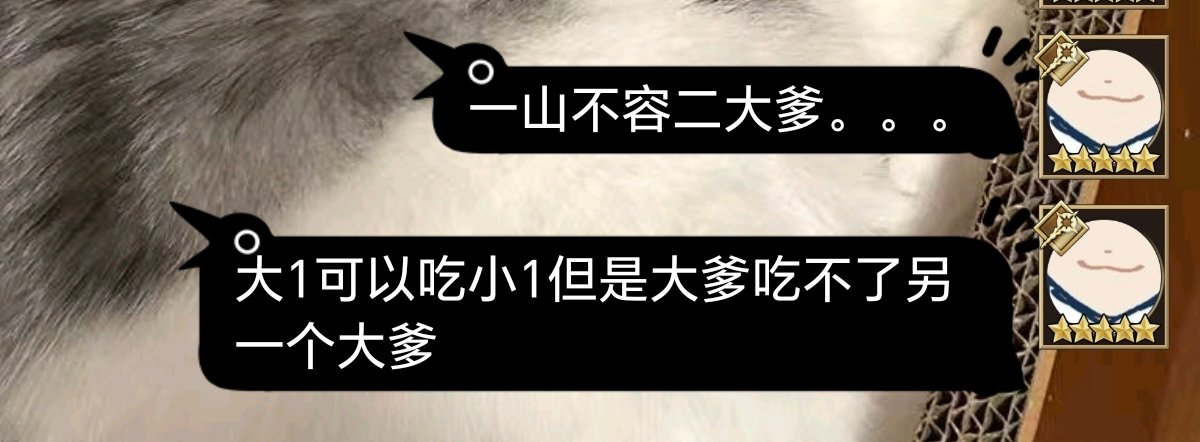 撞号观 