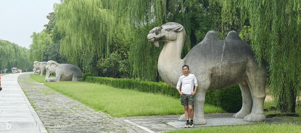 对于你现在的生活状态，给我两个字清欢～