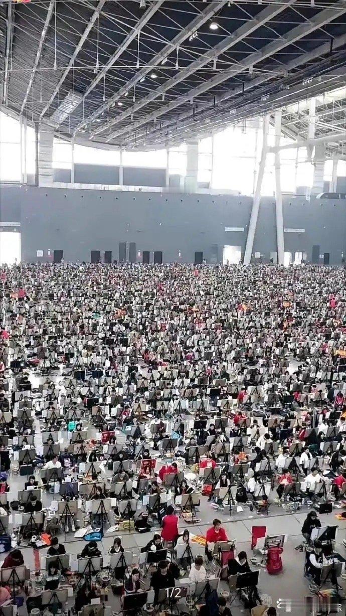 不懂就问，他们以后的就业方向是什么？ ​​​