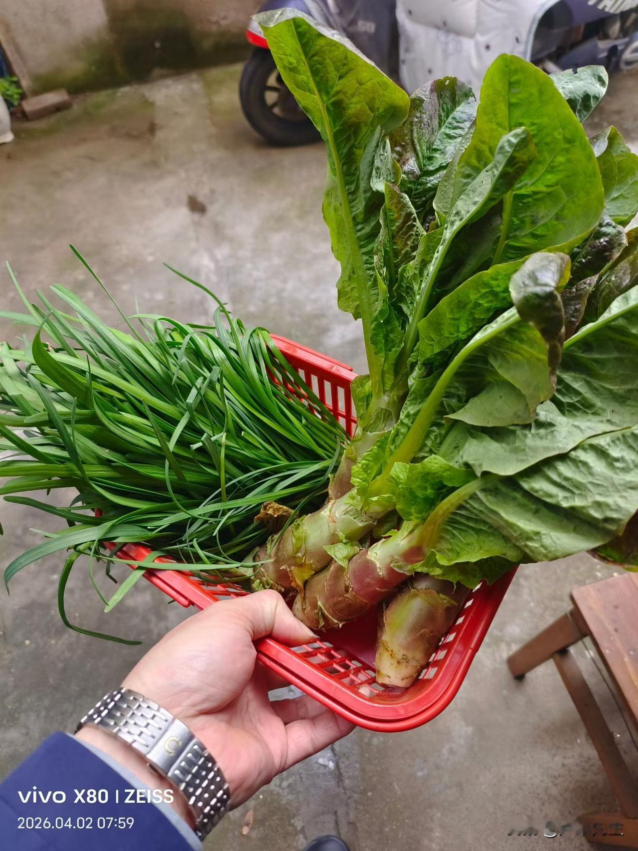 看着就新鲜，带着泥土气的农家菜最香啦～
自家种的就是纯天然、无农药，吃着放心又清