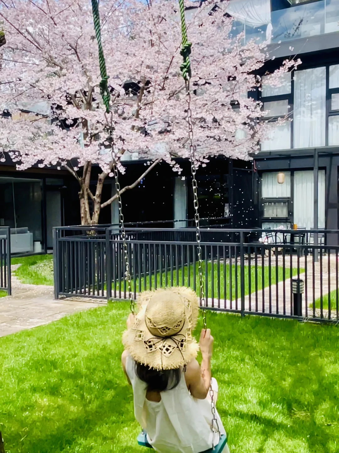 杭州📍清明有房，樱吹雪小院好出片live直出