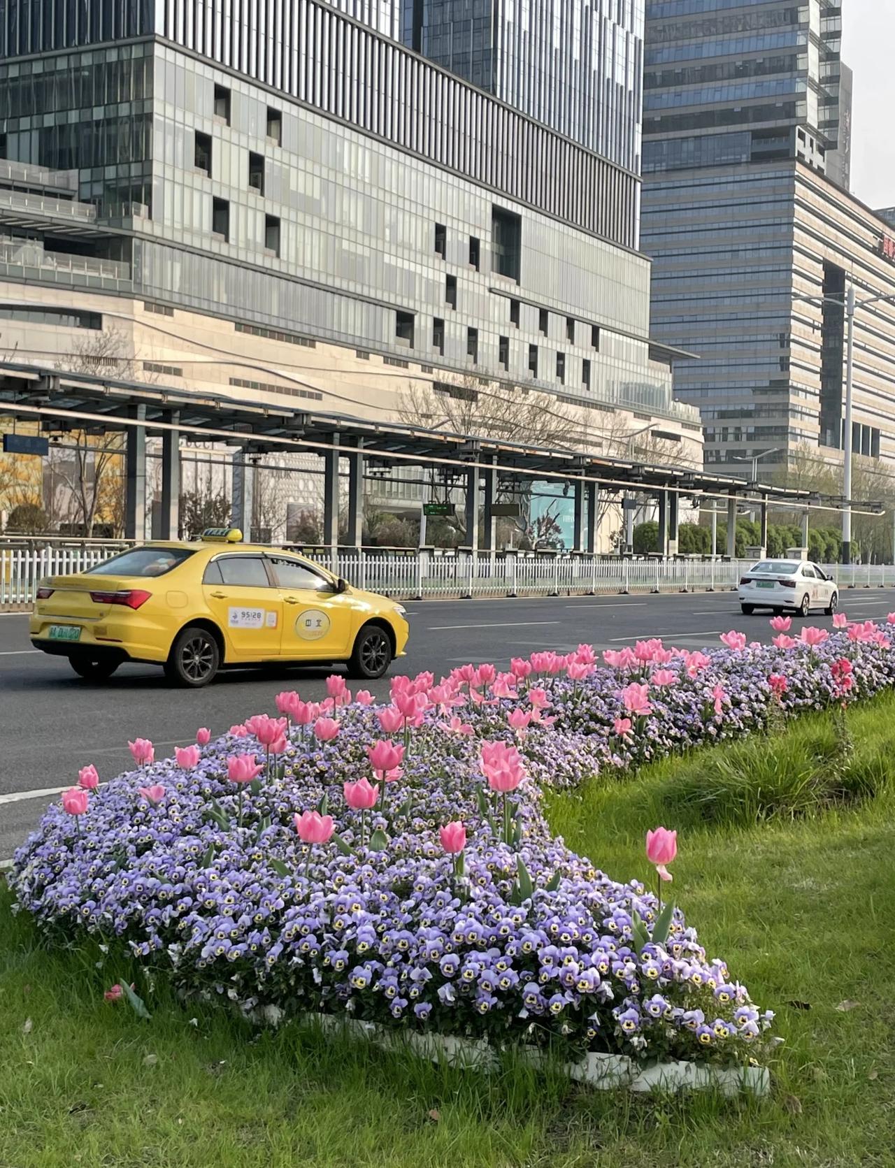 南京市政:万一有人在人行道办婚礼呢
绿化带都种满了🌷真的随地大小拍
亲爱的纳税