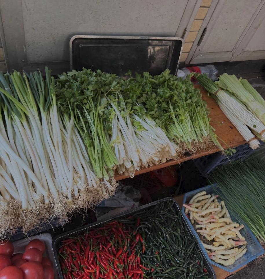 这次在眉山吃到了一种白色的芹菜，看着模样和普通芹菜差不多，但茎秆是雪白雪白的，和