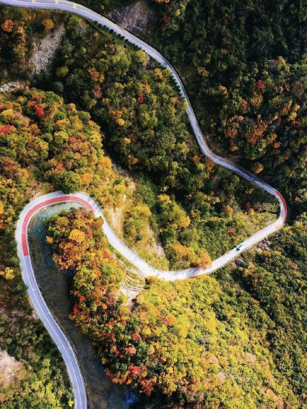 【做人应当求变，有含而不露的变招，能够在紧要关头亮出来】
        做人求