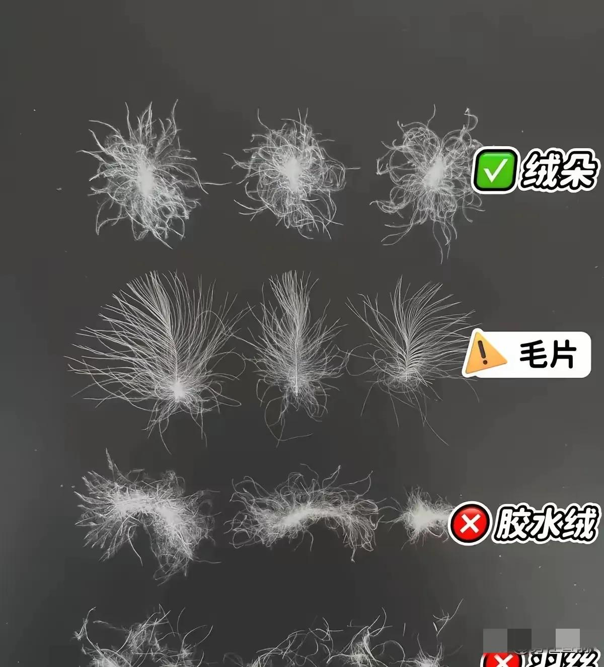 如果不拆羽绒服，
怎么能看出来自己的羽绒服里面有没有绒朵呢？羽绒服里的绒朵看着好