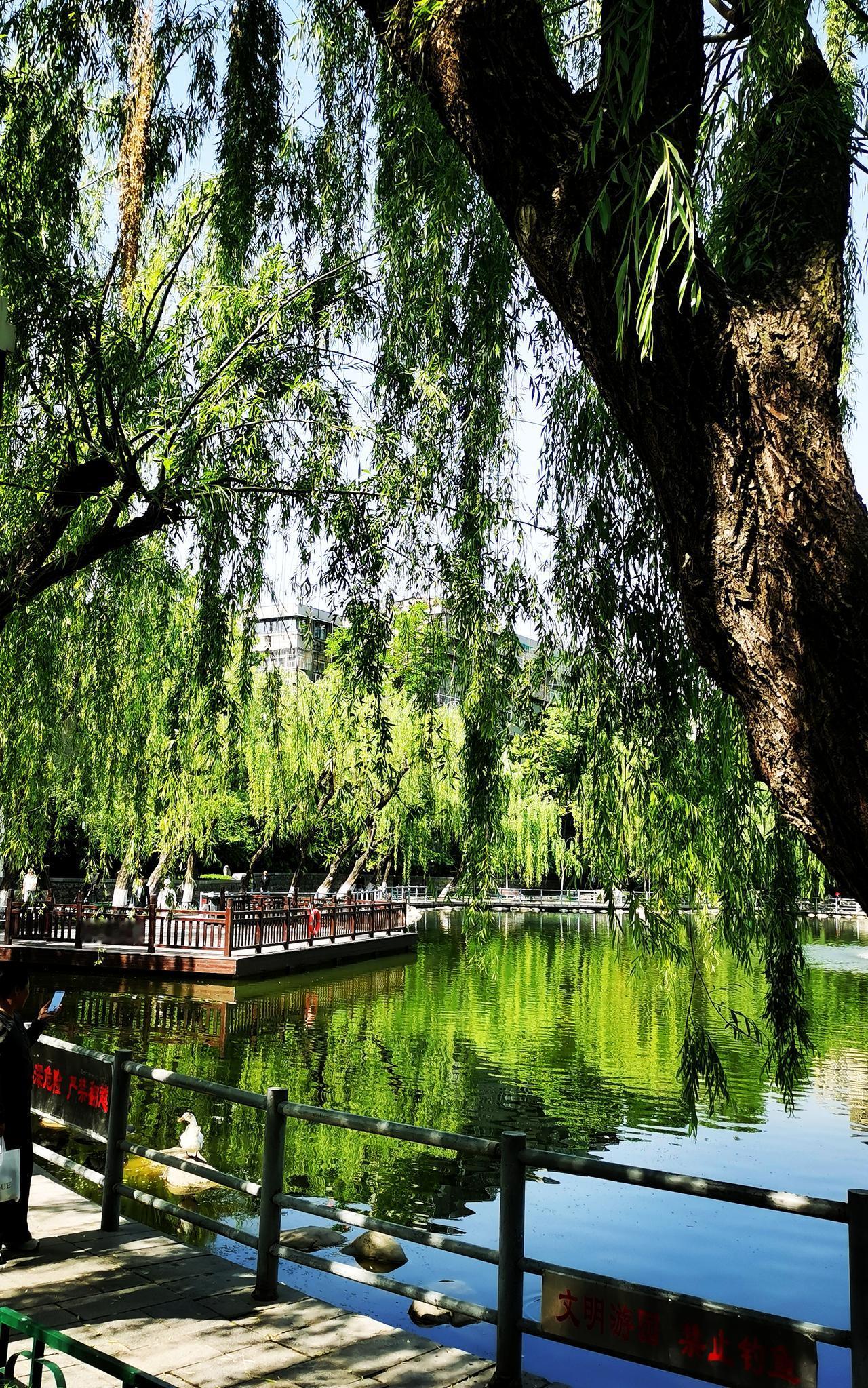 寻找春天的笑靥晒图笔记大赛
春天的美照 莲湖区公园美景 西安春天打卡 寻觅的春天