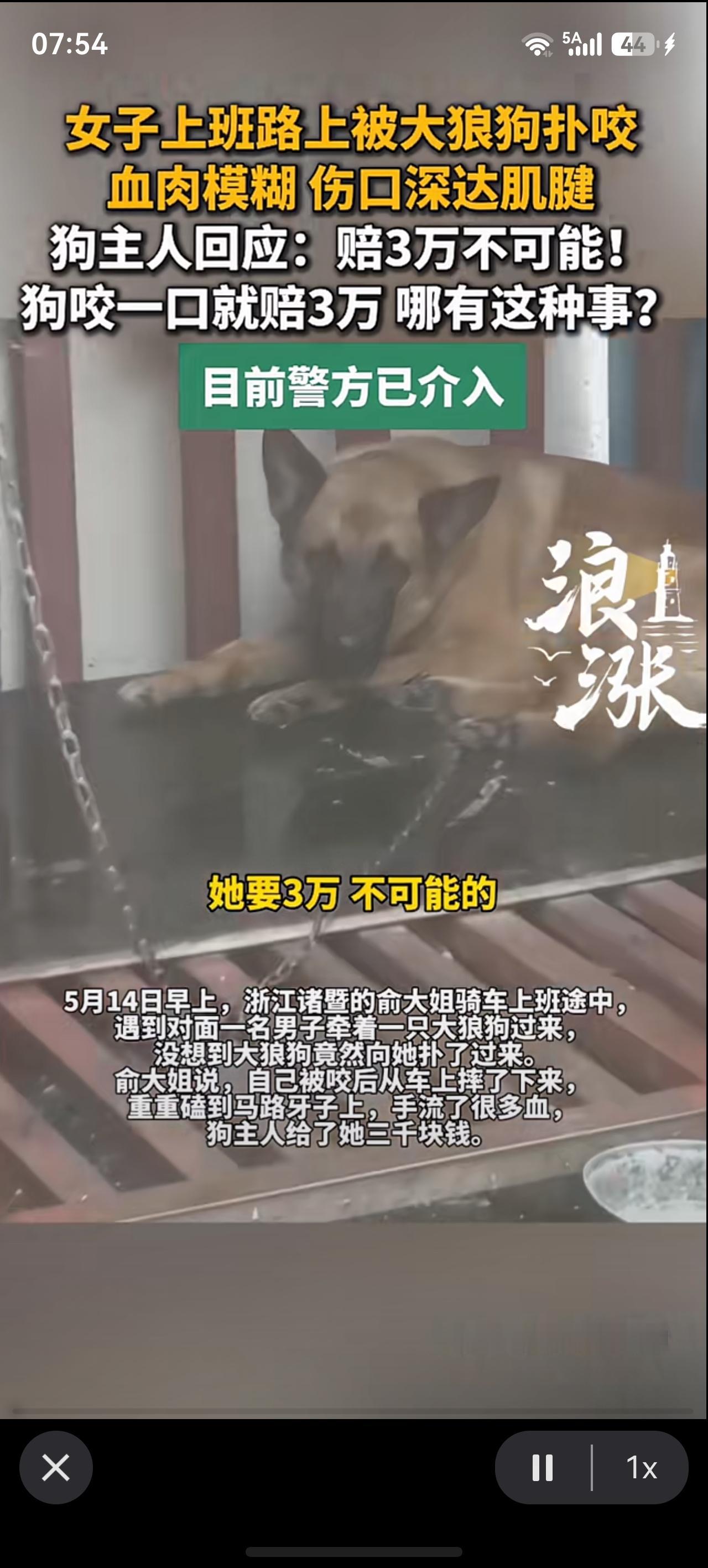 “他要3万？不可能的，狗咬一口就要3万？哪里有这种事？狗是我牵着的，我不是没牵。