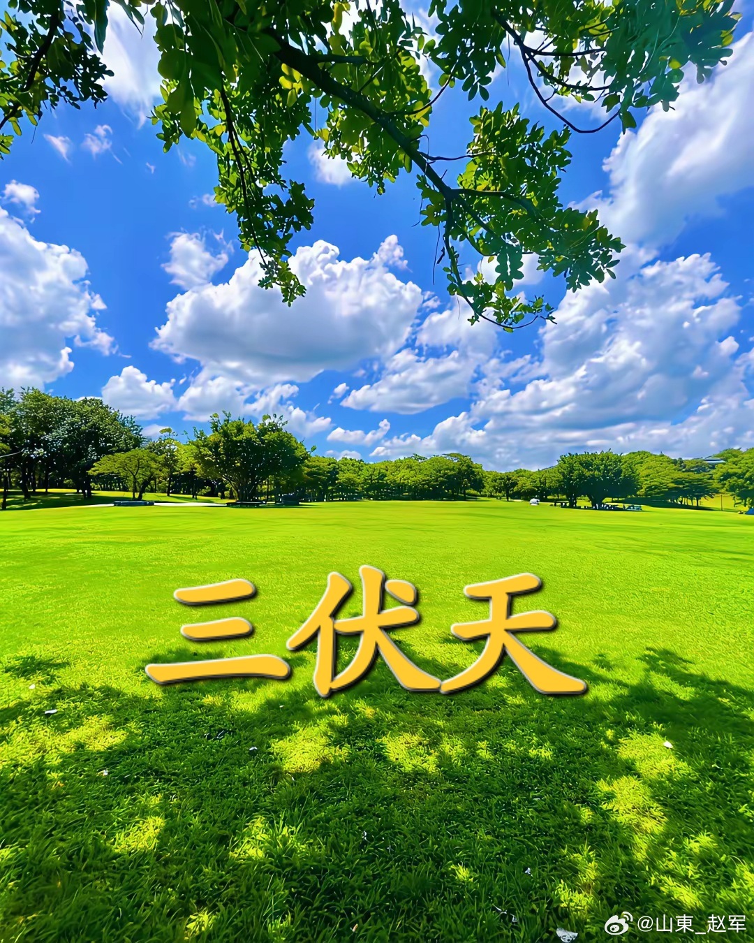 三伏为何是伏邪内生高危阶段（贴合一气周流、五运、浮阳整套理论）一、“伏”字本义：