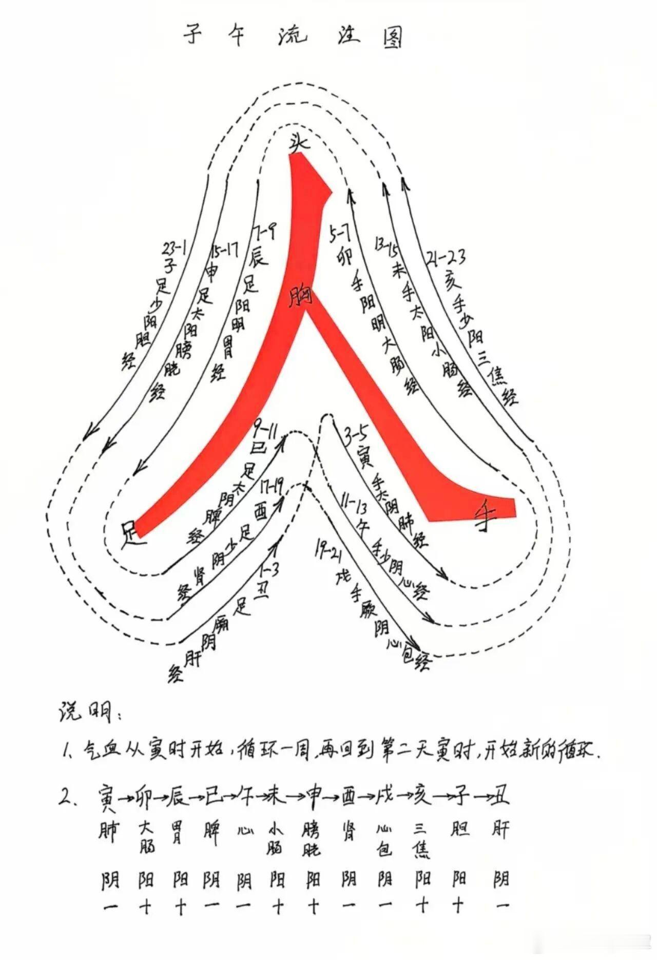 固表散热汤（经验方）方药解析+配套小儿推拿全套方案一、方剂立意总纲小儿外感常见矛