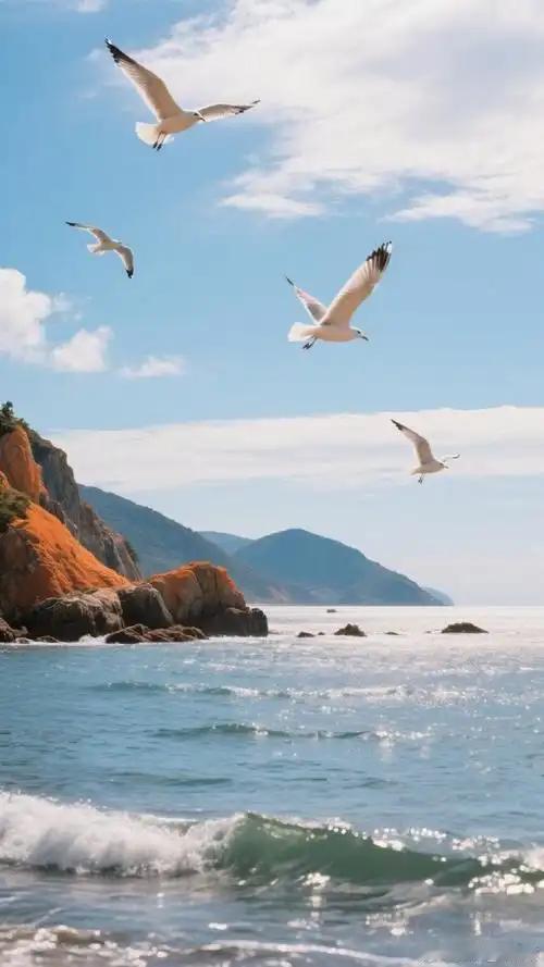 壁纸  海风漫过礁石，海鸥携着自由掠过山海，所有烦恼都随浪远去。 