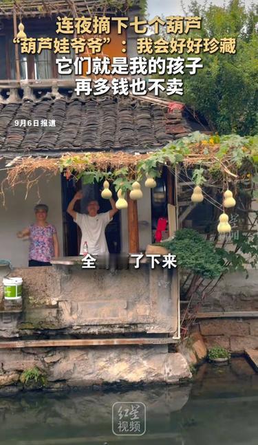 欲哭无泪！浙江绍兴，一老人阳台上种出的七个葫芦，因神似《葫芦兄弟》意外走红，引得