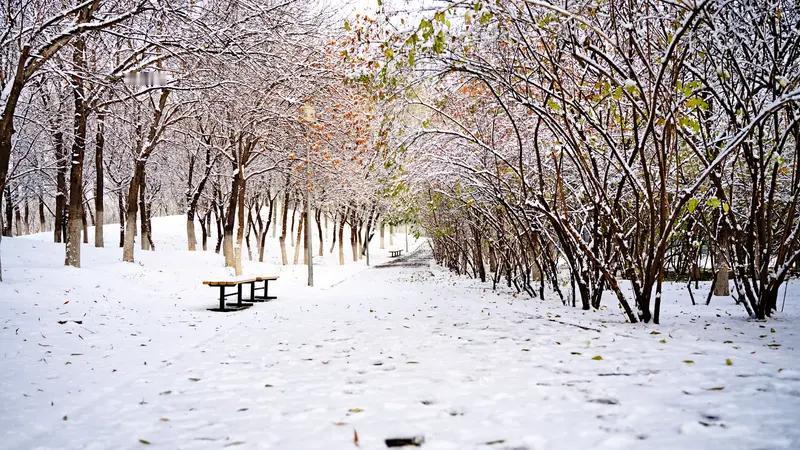 2025年东北初雪来得确实早，10月14日夜至15日，新疆乌鲁木齐、黑龙江哈尔滨