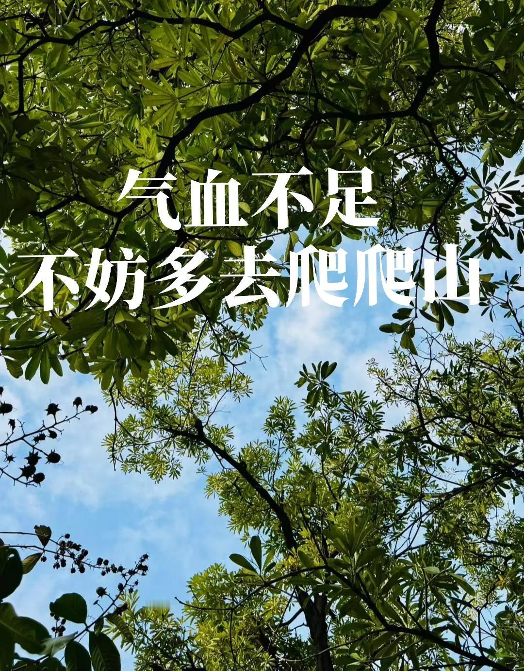 秋乏来袭？去爬山一键回血！
姐妹们，一到秋天，是不是感觉自己像快没电的手机，电量