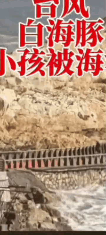 云南一家四口来浙江温岭石塘海边玩，一阵大浪打来，9岁孩子瞬间就被大浪吞没，还没等