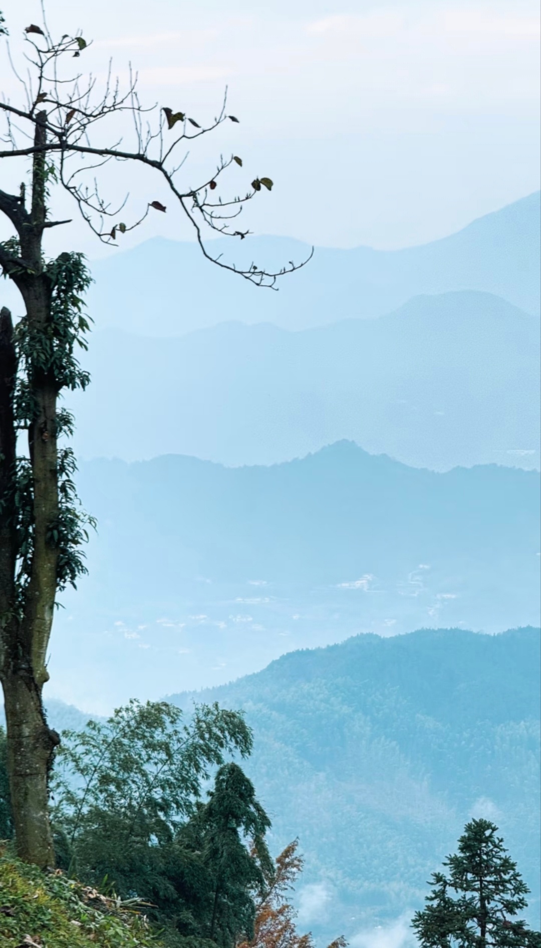 “  青云上，白云间，一任我安排 …  ” 