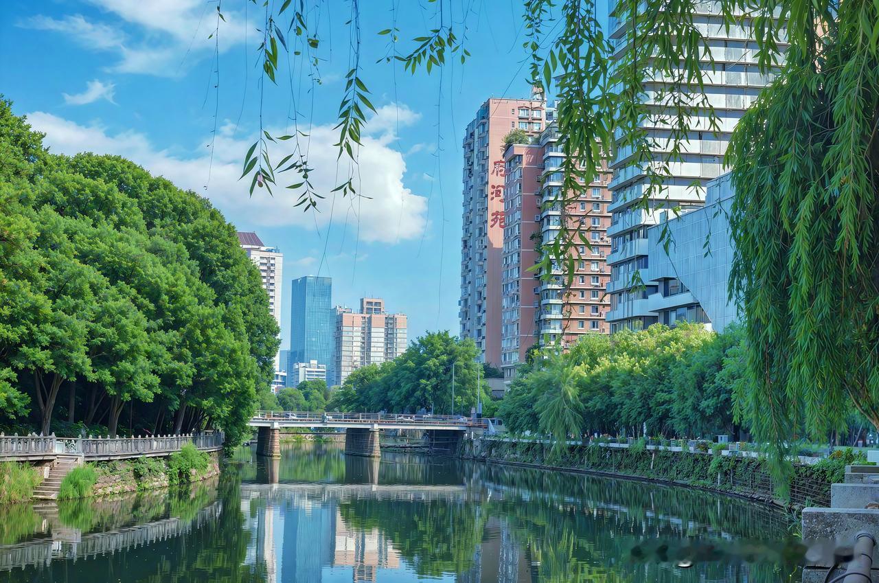 城市的喧嚣中，竟藏着这般宝藏之地。那城市绿洲，像一颗翡翠镶嵌在钢筋水泥间。走进其
