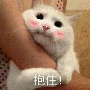 看演唱会堪比看一次心理医生语言解不开的心结，音乐全都可以抚平。关掉工作消息，沉浸