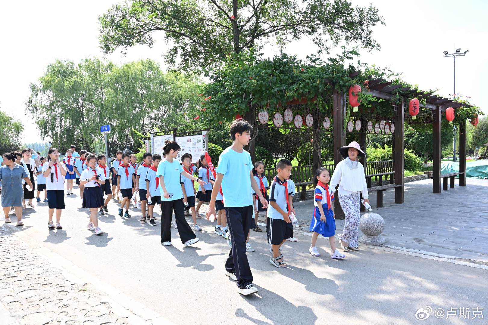 山东青年三下乡传递榴火微光山东青年暑期社会实践绽放青春光彩 以青春之声，讲好本土