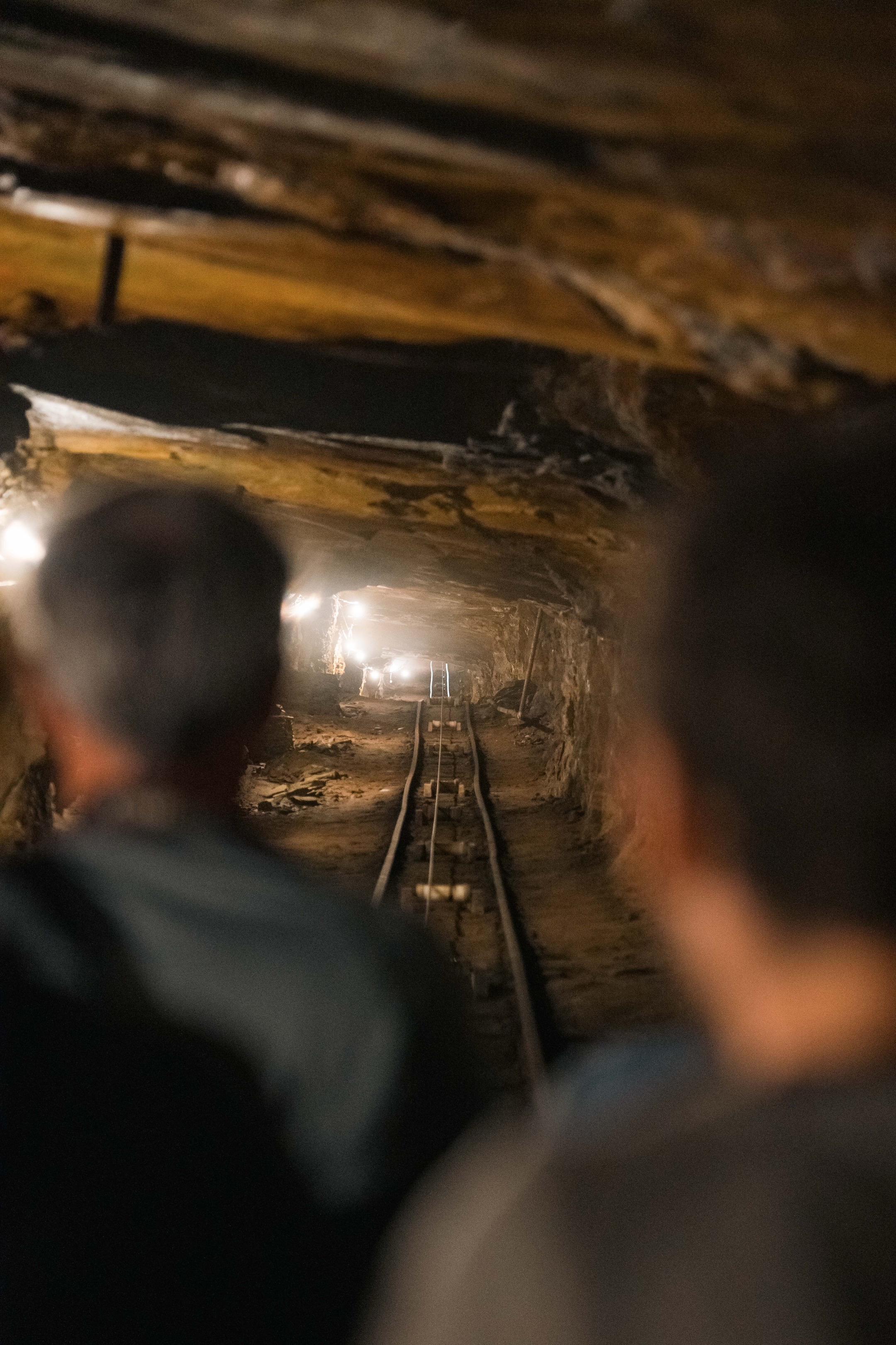 荒谬当道，爱拯救之。