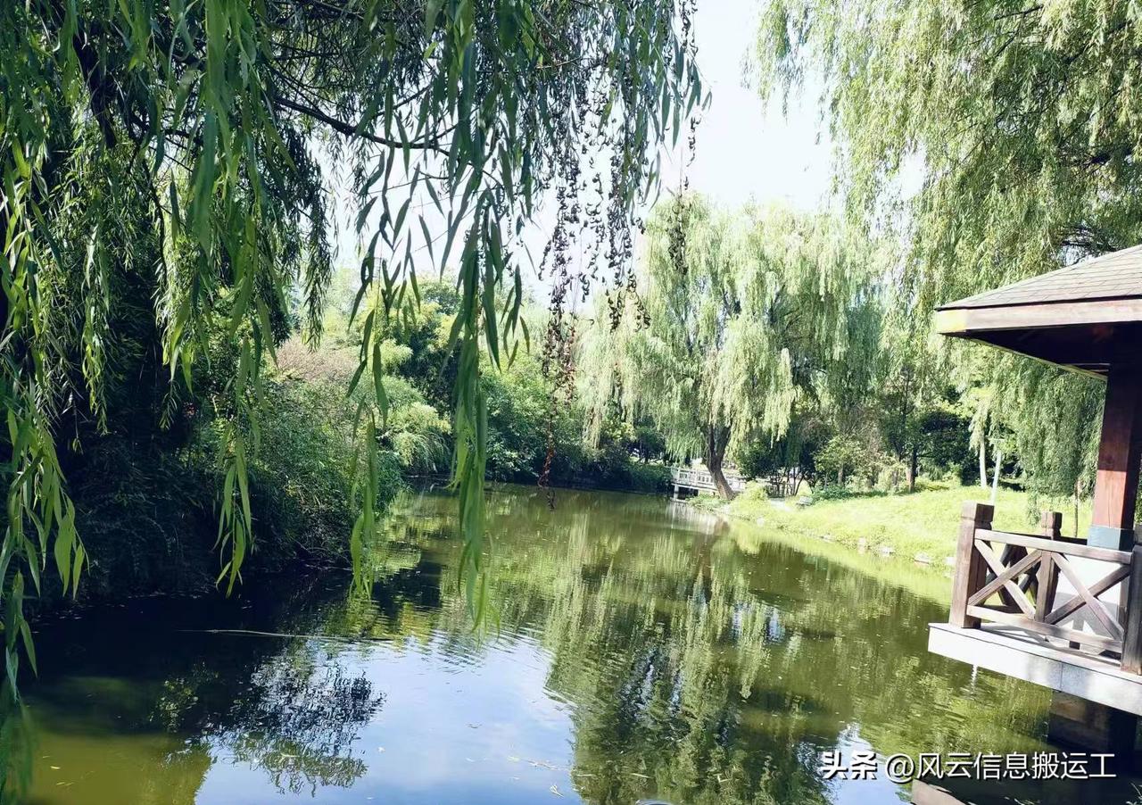 之前刷了一个帖子，大概就是说 lz 网上买菜什么的放在家门口了，被一个清洁阿姨拿