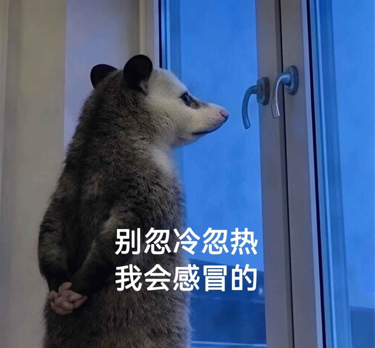 负鼠表情包打工人版更新