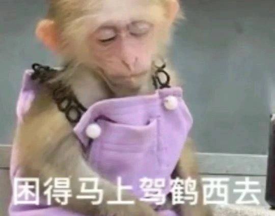 吗喽表情包 ​​​