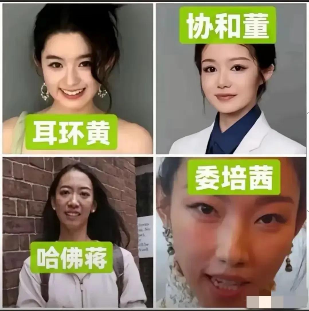 今年最火的四大美女，她们的脸上分别写着公平，公正，公开，特权！四才女 四美人