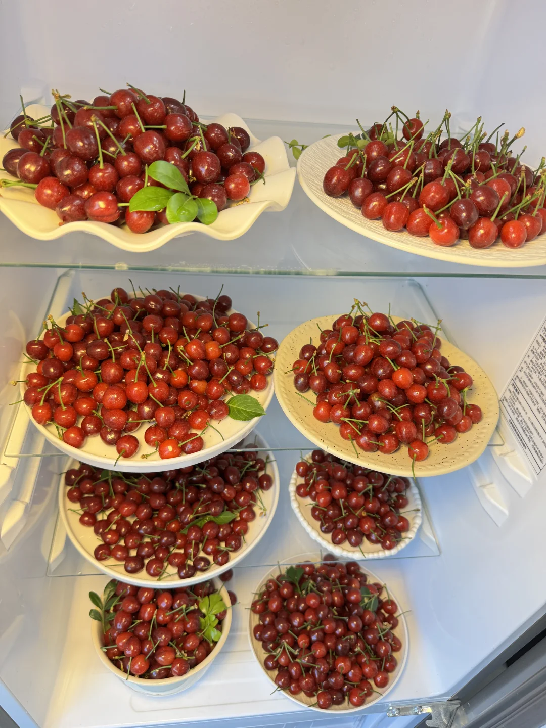 小樱桃降价了，快把冰箱塞满，错过就等明年了