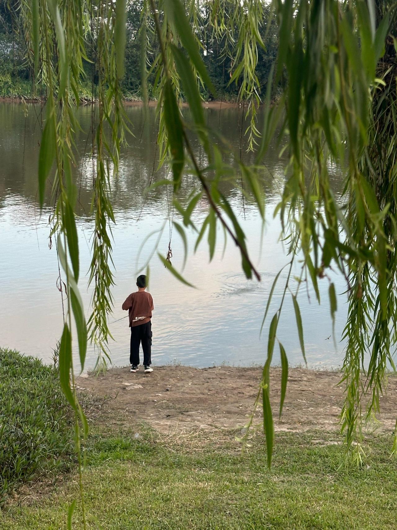洱源网民留言反映茈碧湖开放垂钓后存在的问题，建议应加强茈碧湖水系的管理！
近日网
