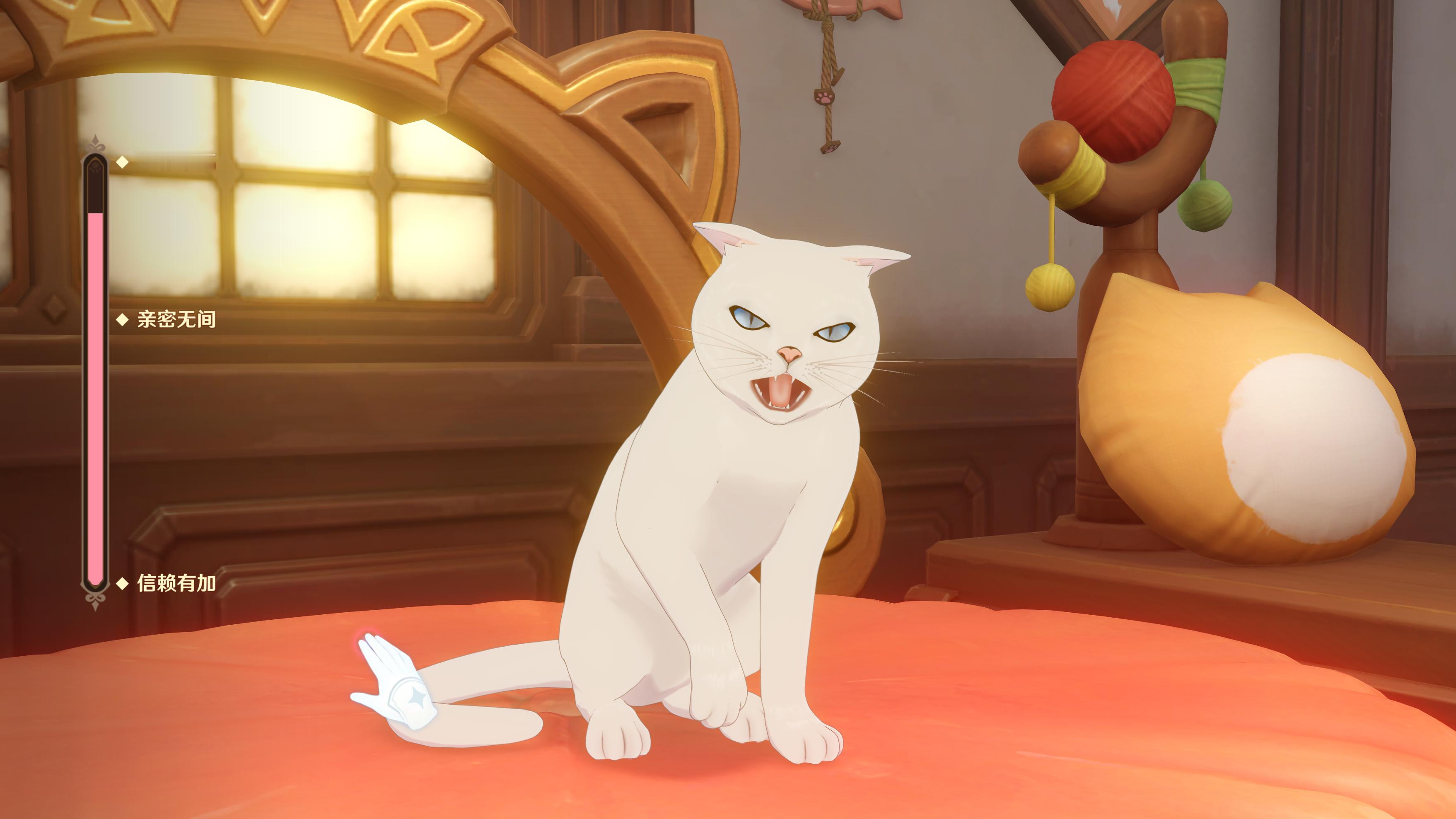 #原神[超话]# 猫猫的尾巴这么敏感，一摸就生气[喵喵]，摸其他地方都很乖，感觉