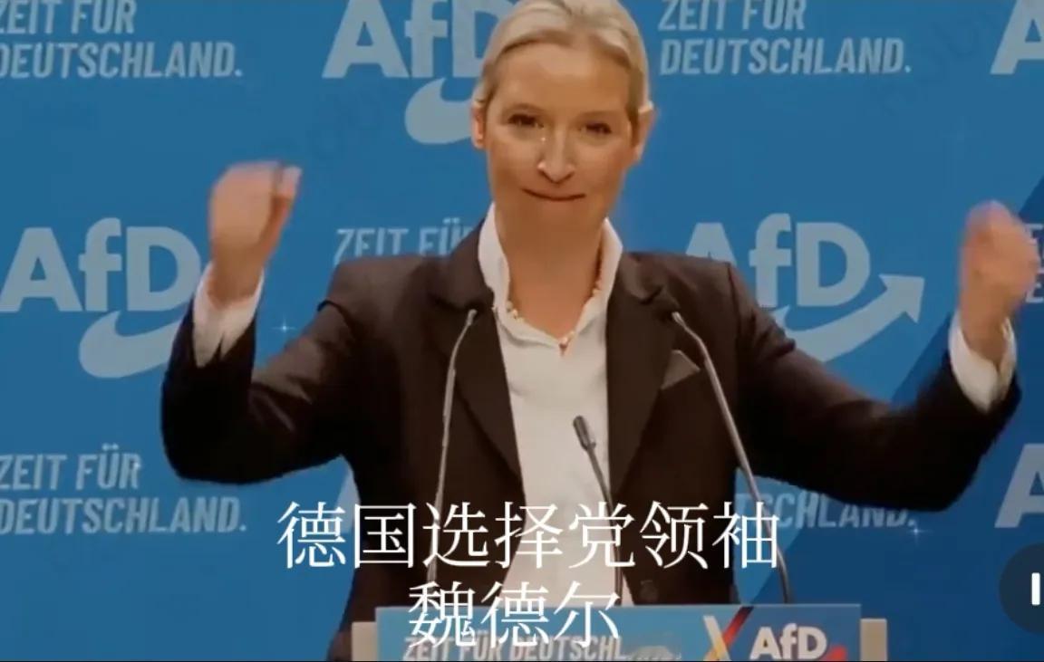 德国选择党领袖魏德尔是中国人民的好朋友！她多次强调:美国不论哪个总统上台，都是一