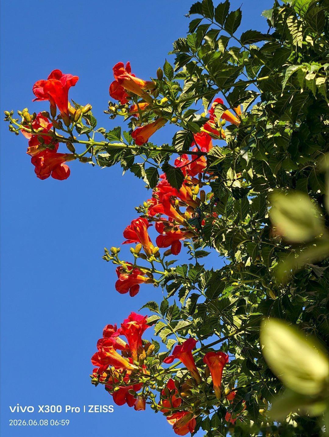 成长的标准就是：拒绝别人以后，没有任何的愧疚感。—— 萨特  