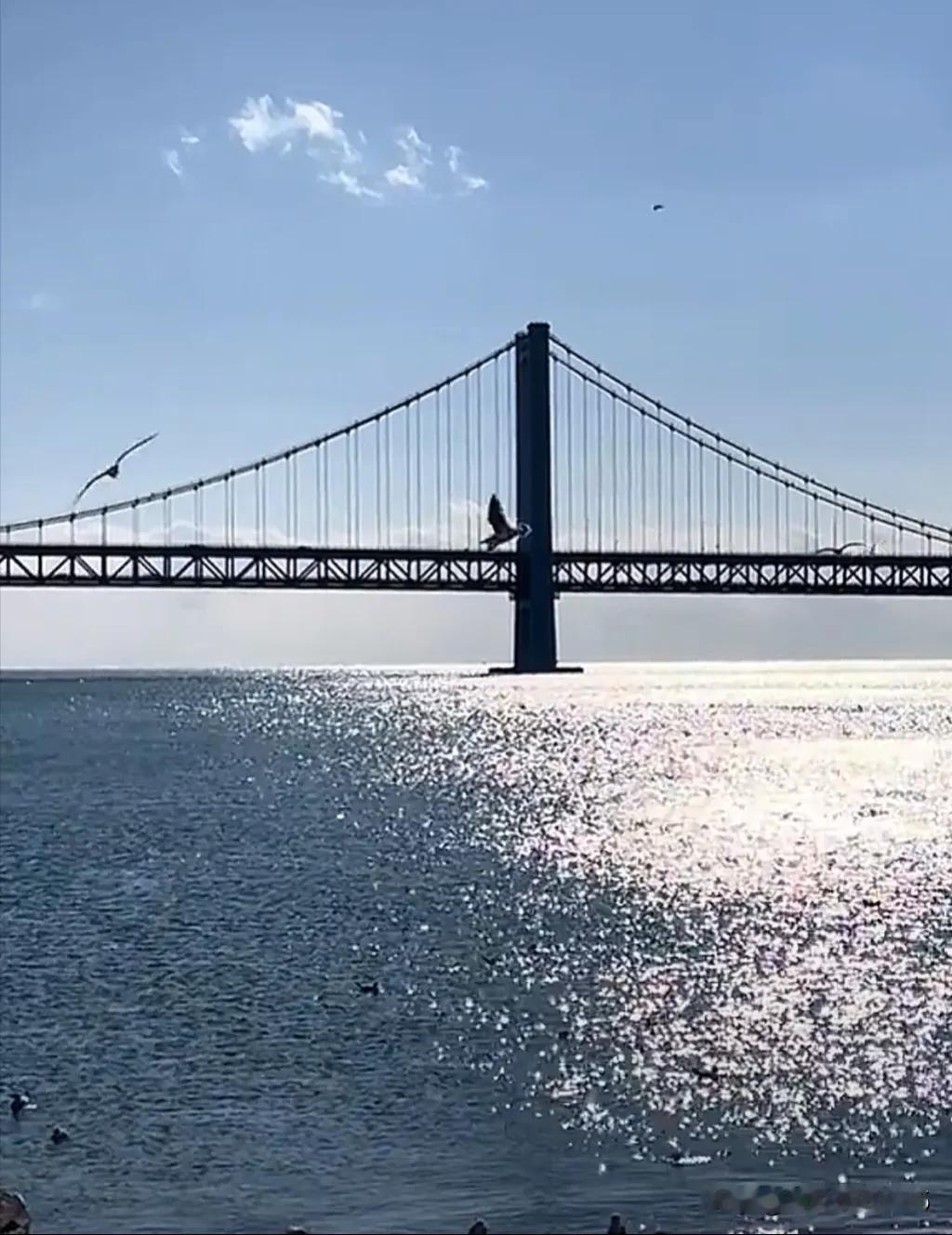 心中有一片蔚蓝海洋
浪花诉说着动情的故事
夕阳余晖下
感受冬日海水的清凉
我们牵