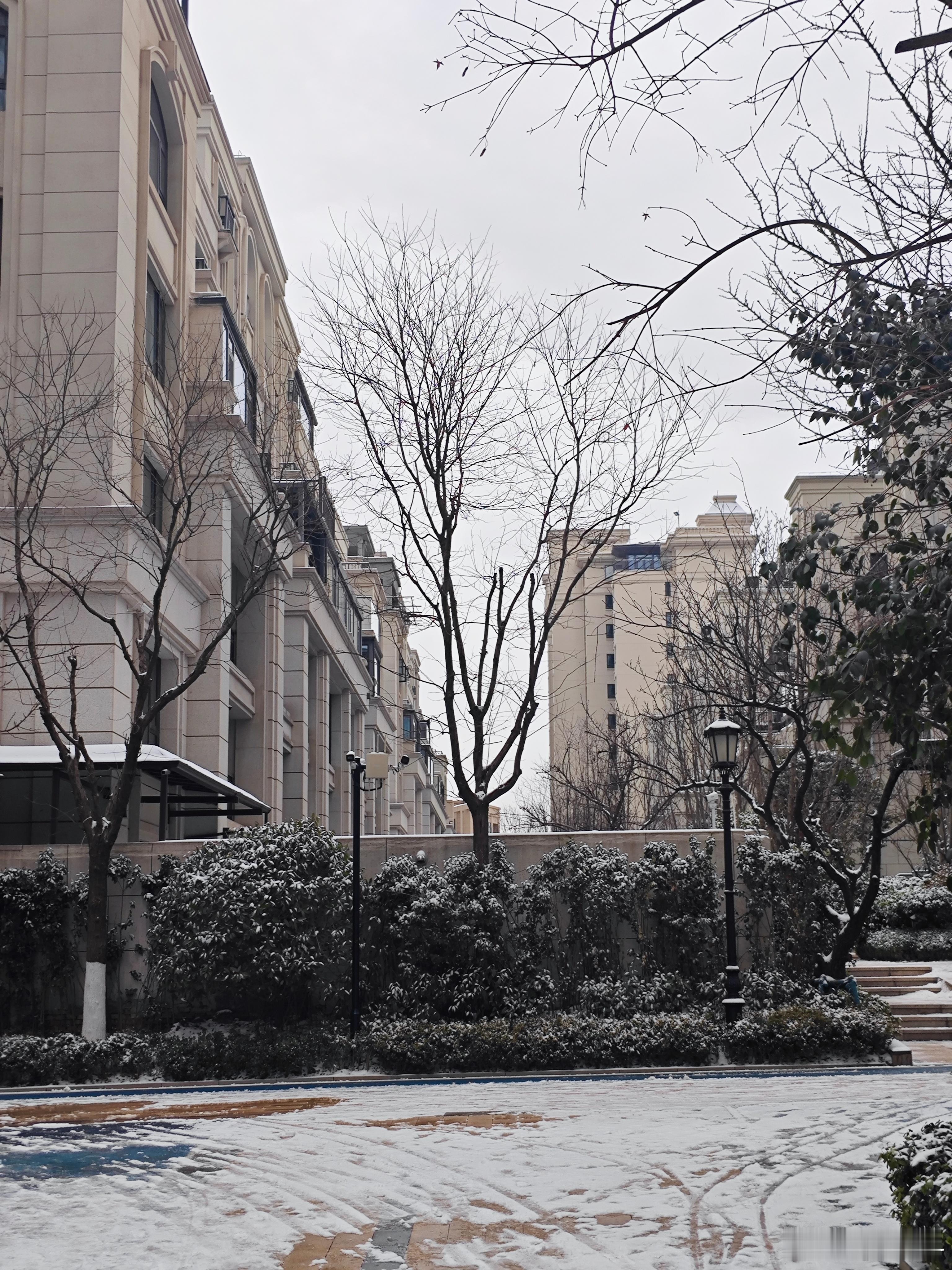 小区里平时风就大，今天感觉更冷了，地面很多地方有冰。 