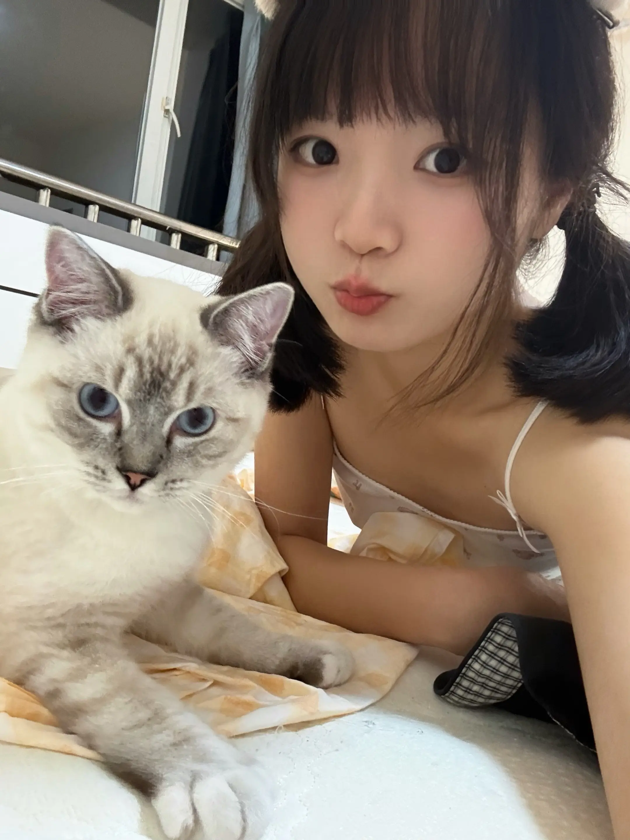 猜猜哪个是小猫咪。