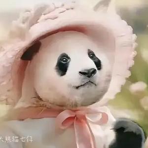 芷畅谈科技
