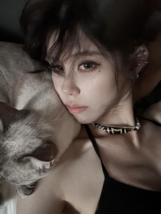 樱花季🌸