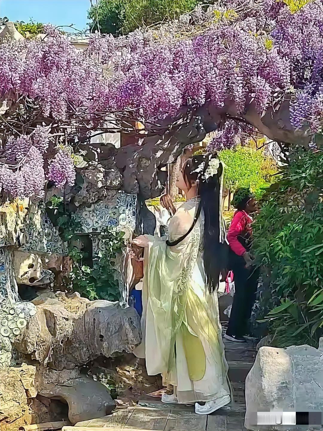 身着汉服的少女穿越时空，悠然漫步于紫藤花海之中
淡雅汉服美女 汉服少女风 汉服花