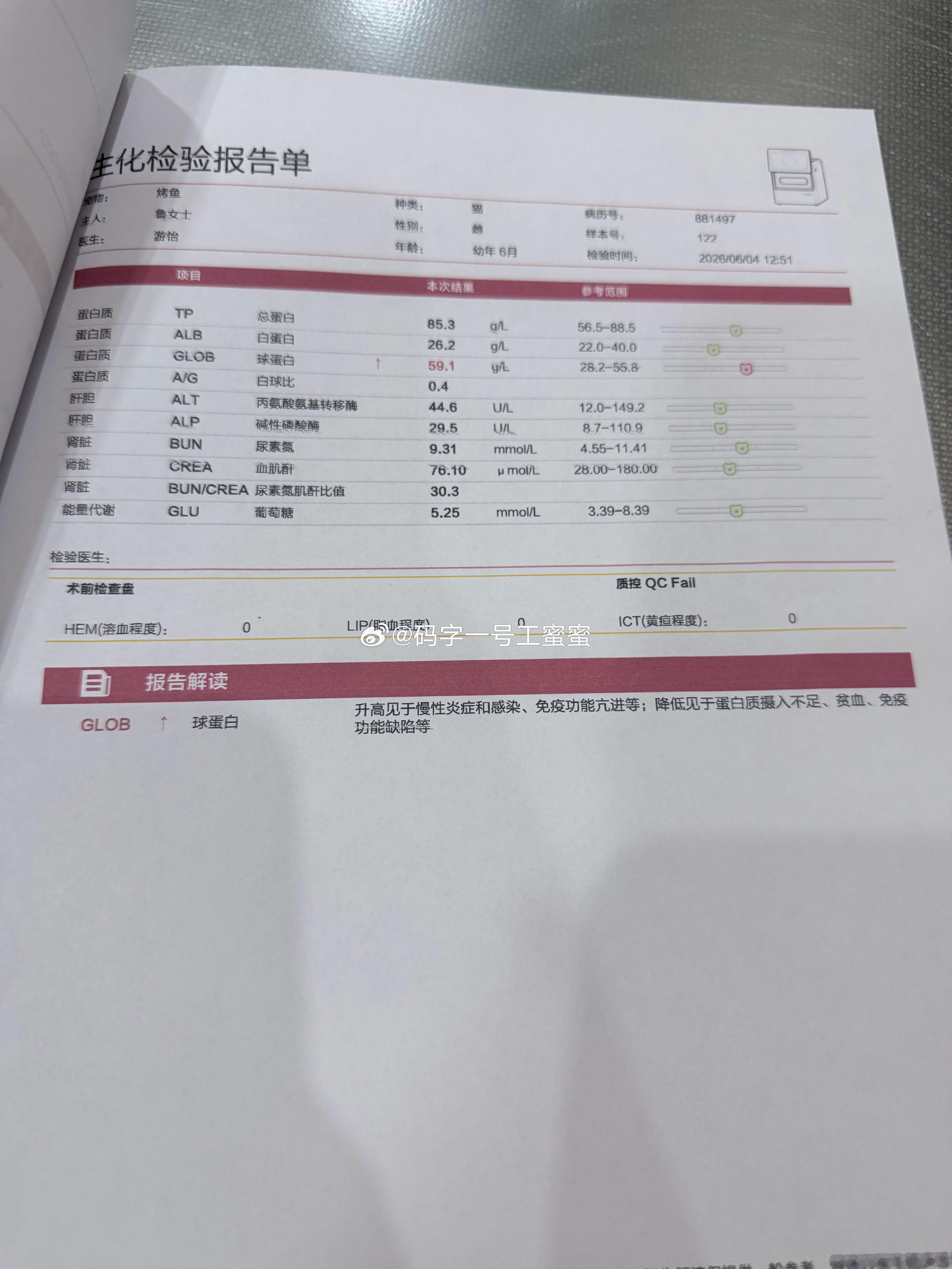 没病毒，打过一针疫苗，目前也没查出皮肤病。就是有炎症，跳蚤太多了，医生处理半天。