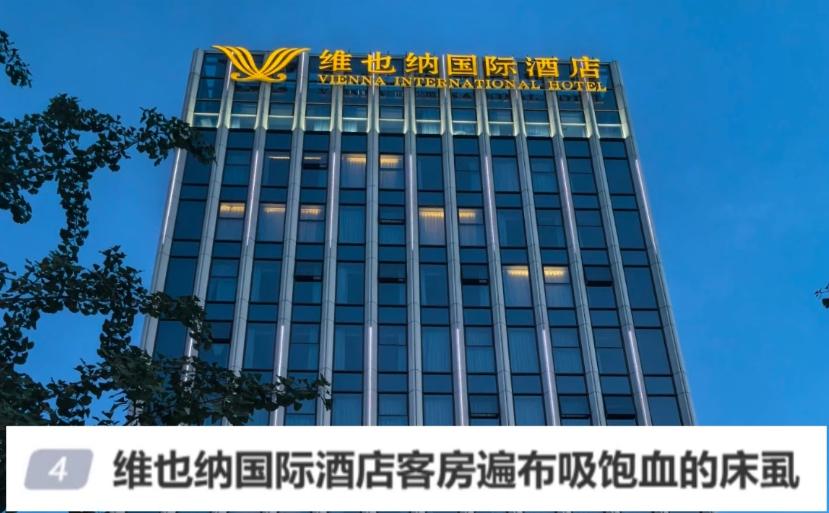 短时间接二连三爆出卫生问题，维也纳现在最难的根本不是罚几个人。
我自己出门住连锁