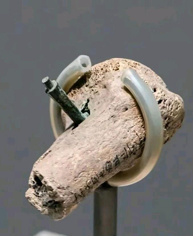 深度！一枚嵌入古代士兵腿骨的箭头。陈列天津博物馆。