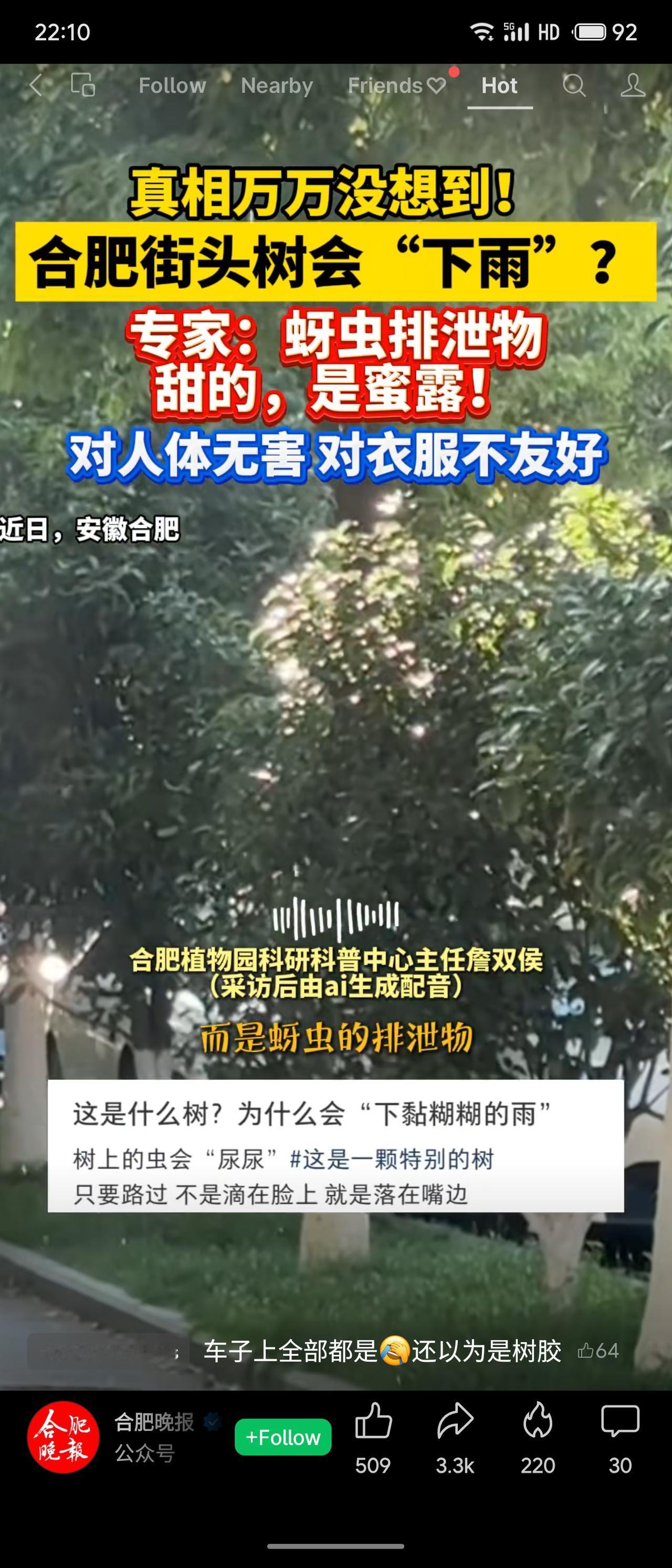 合肥街头“下雨”原是蚜虫排泄物，专家称其为“蜜露”，味道发甜，对人体无害，但会弄