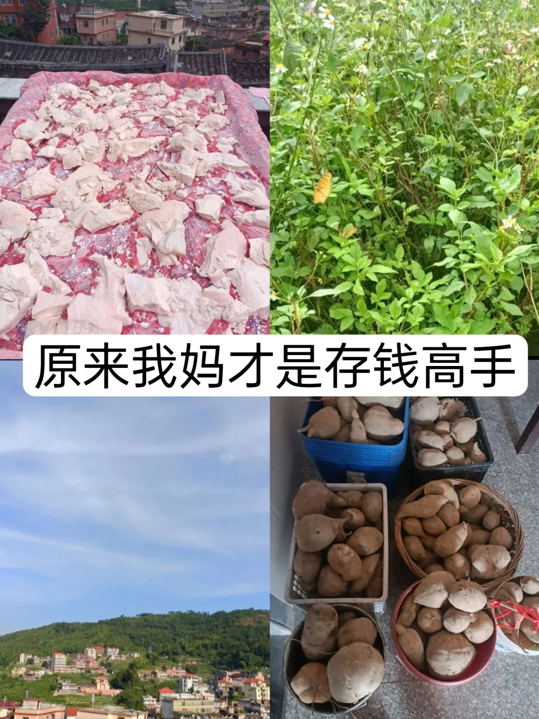 我妈的搞钱存钱方式救了我