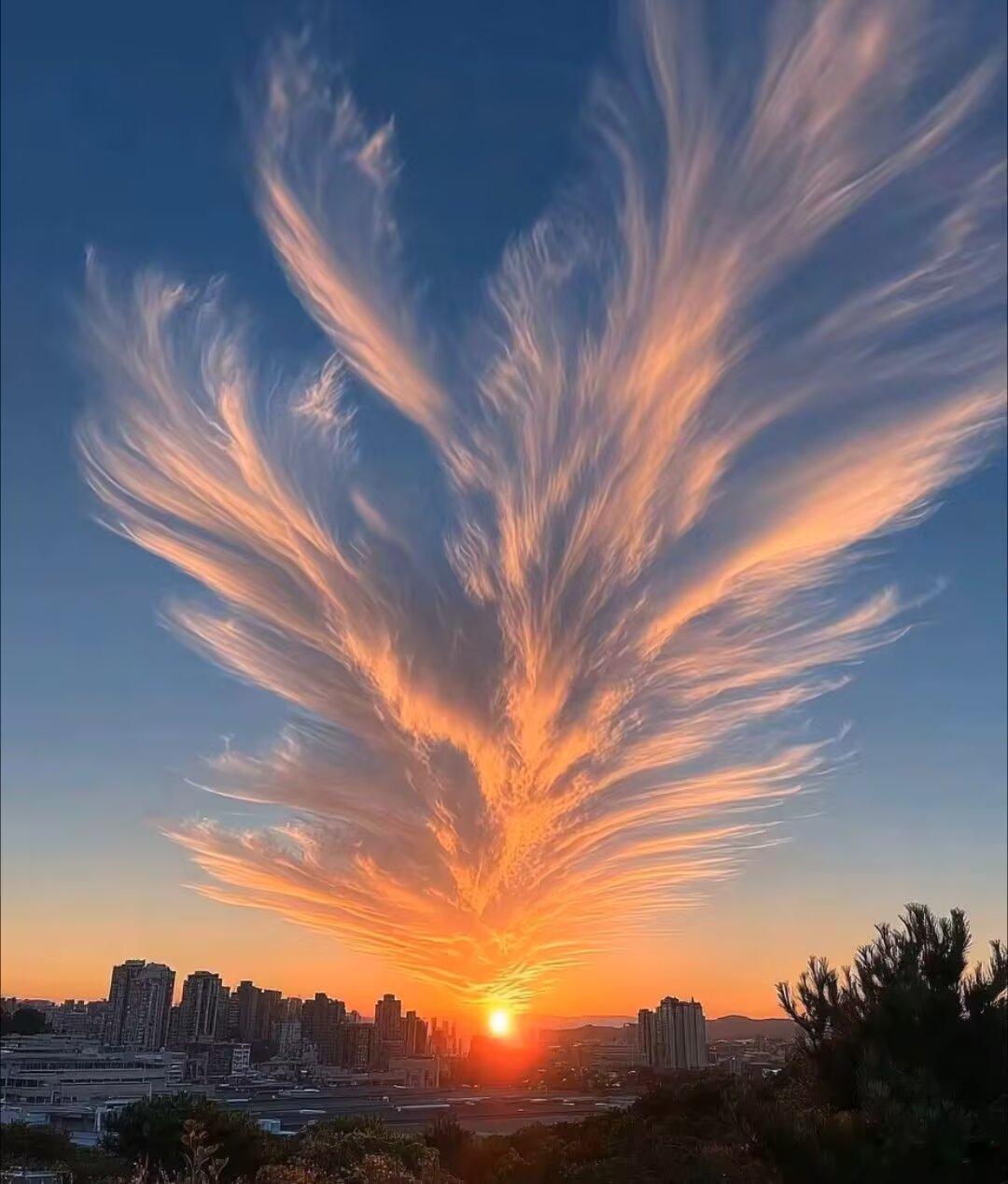 我认为更重要的是，理解自身的欲望、冲动和复杂性，拒绝用虚弱、匮乏、恶劣、破碎这样