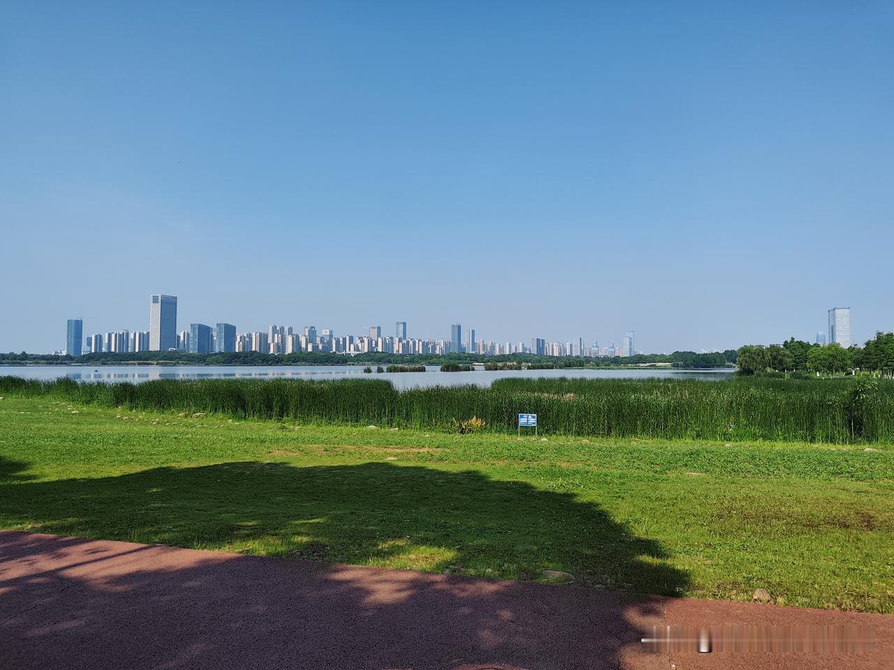 这里是合肥滨湖的方兴湖公园，天气晴朗时视野极佳🌤️
一湾湖水将城市高楼分隔开来