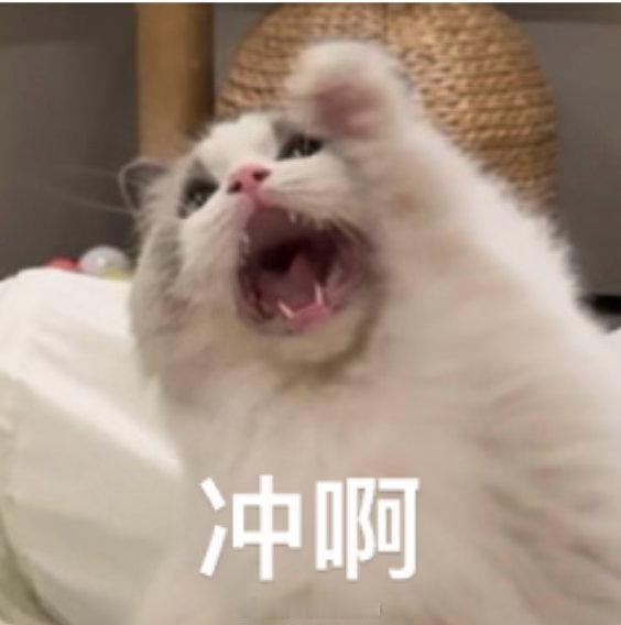打包打包打包！！！