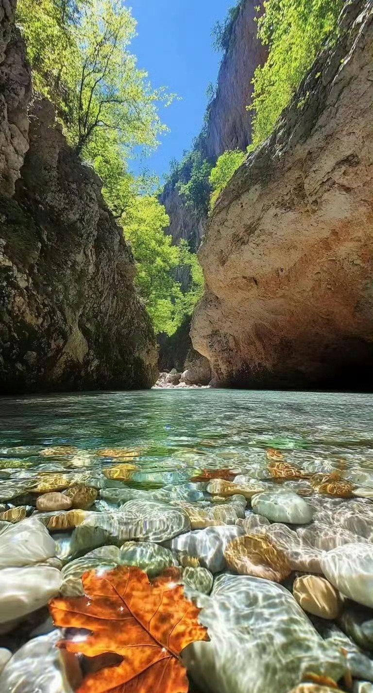 【日本防卫省：导弹发射装置已撤走】
据日本山口县岩国市方面17日发布的消息，日本