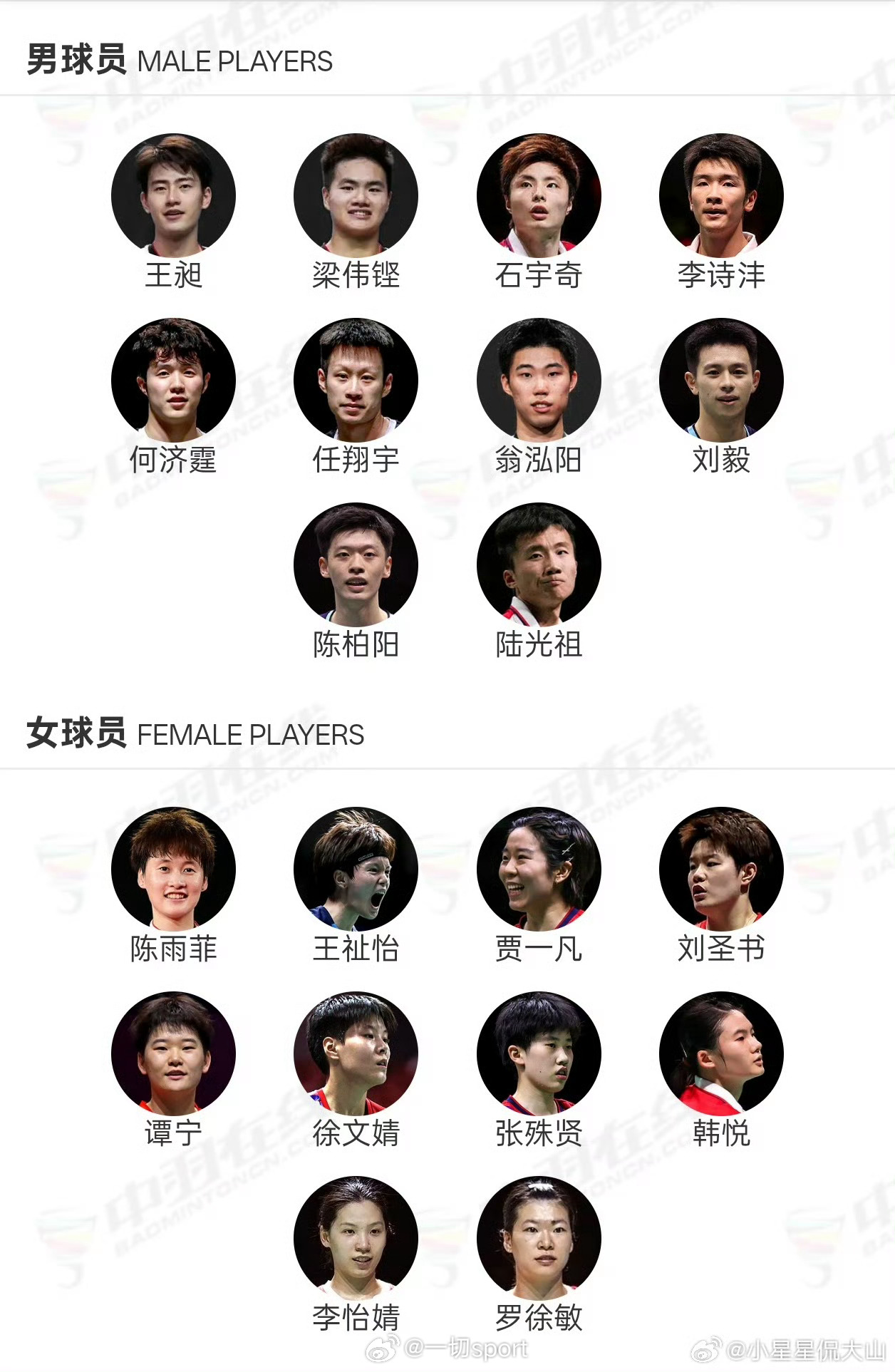 2026年汤尤杯  国羽参赛名单：汤姆斯杯男单：石宇奇、李诗沣、翁泓阳、陆光祖男