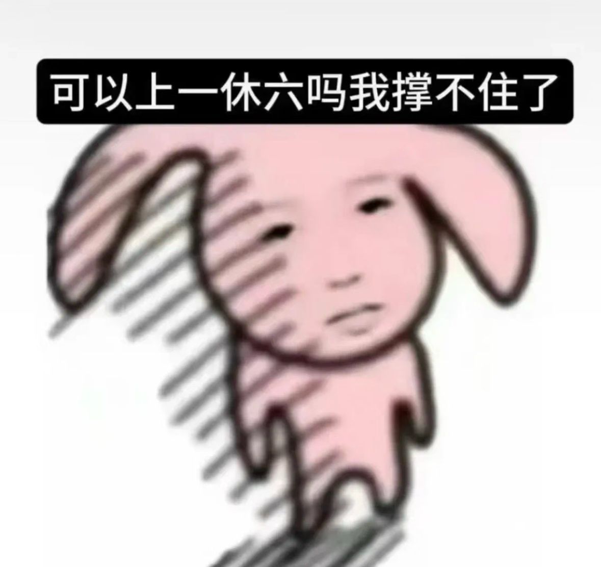 分享图片 